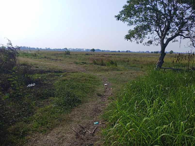 dijual tanah sukaringin