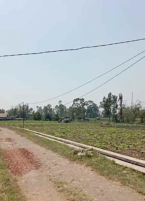 dijual tanah sumberejo