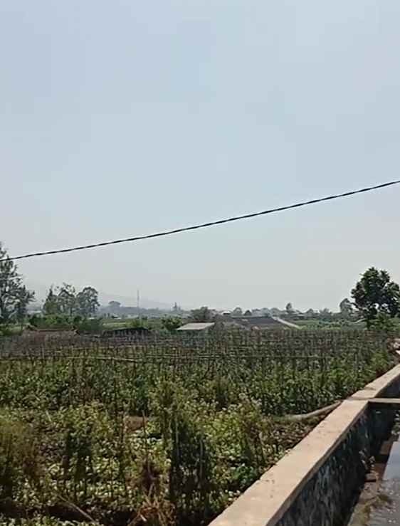 dijual tanah sumberejo