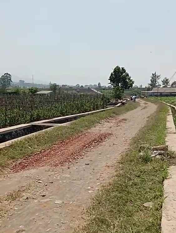 dijual tanah sumberejo