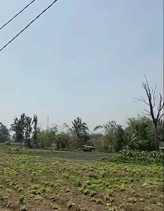 dijual tanah sumberejo