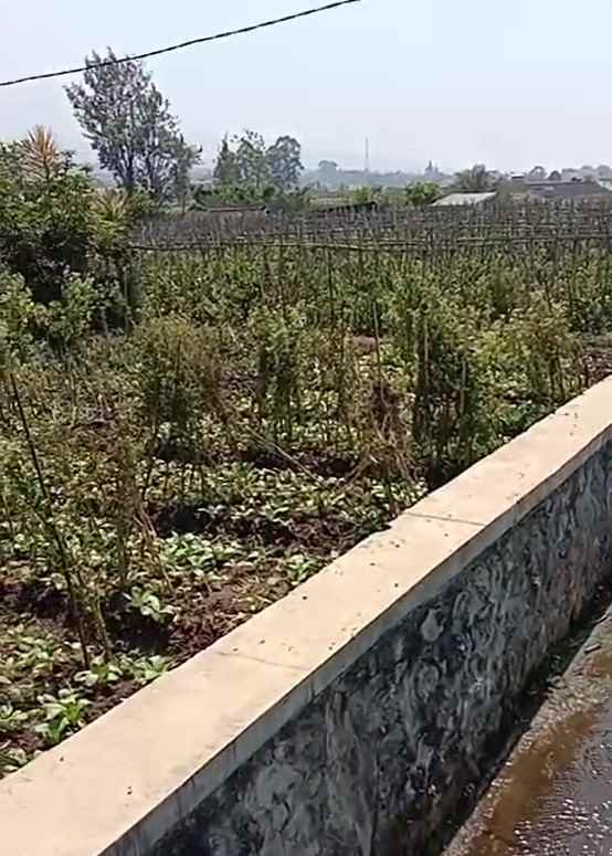 dijual tanah sumberejo