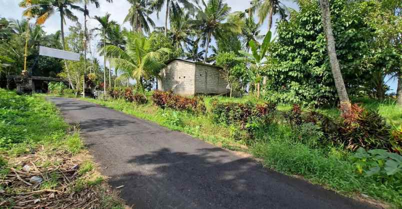 dijual tanah timpag kerambitan kab