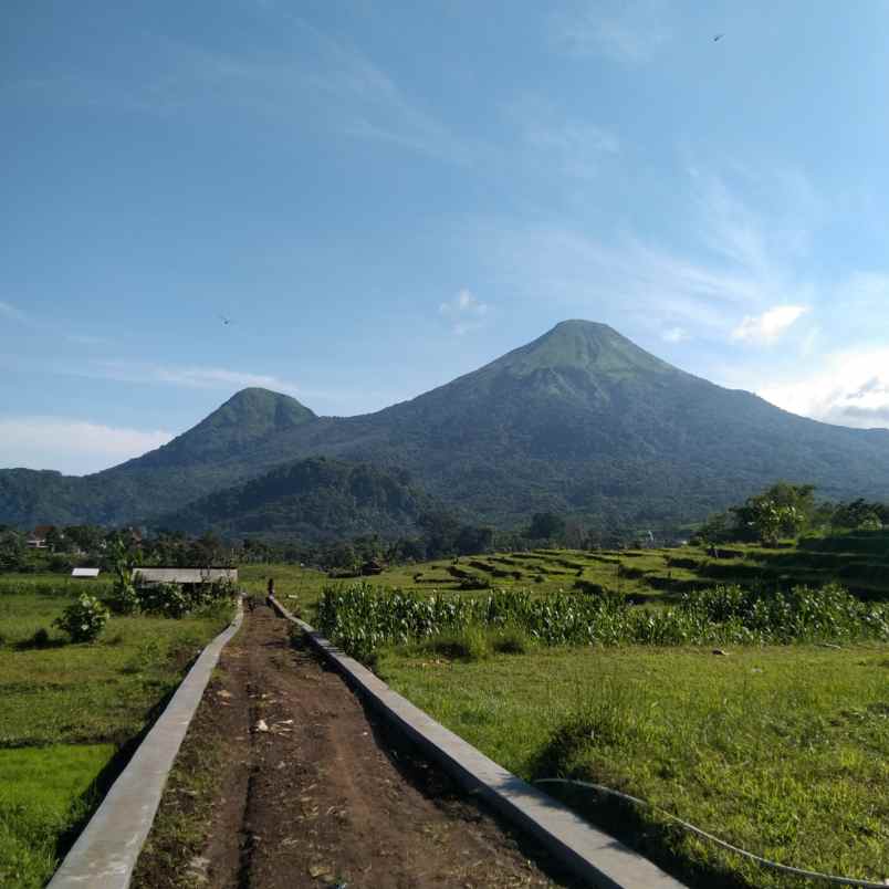 dijual tanah trawas view gunung penanggungan dan sawah