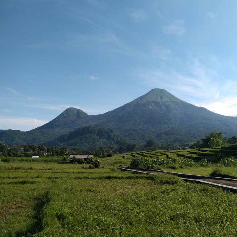 dijual tanah trawas view gunung penanggungan dan sawah