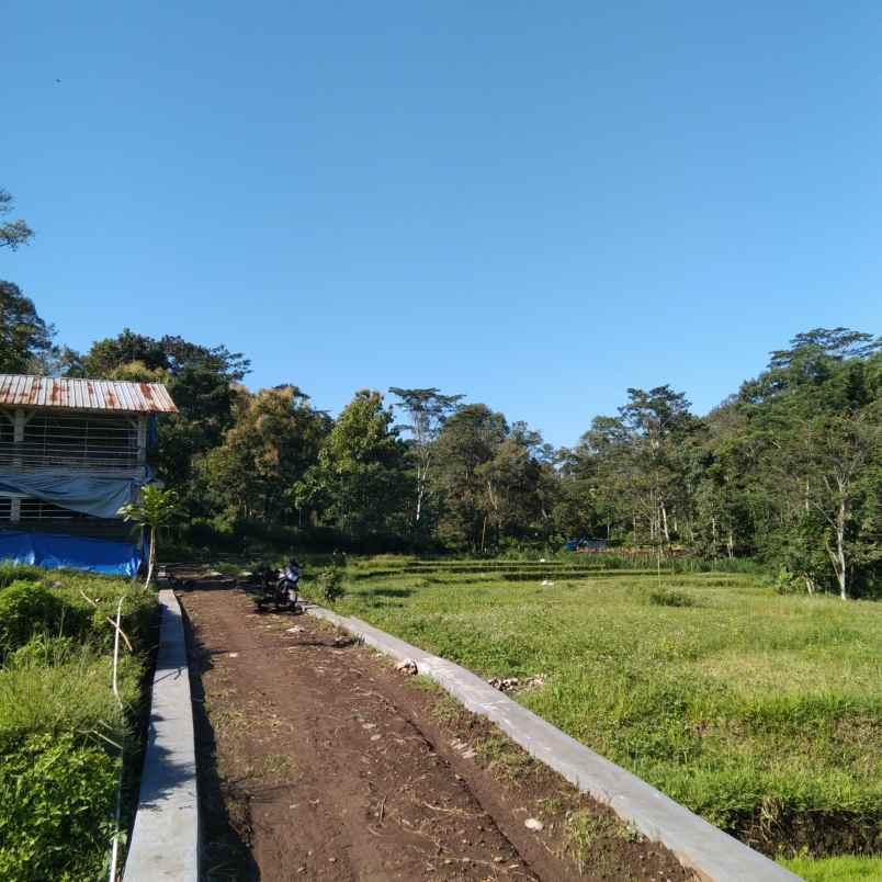 dijual tanah trawas view gunung penanggungan dan sawah
