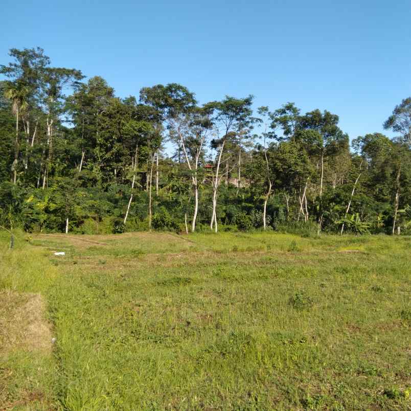 dijual tanah trawas view gunung penanggungan dan sawah