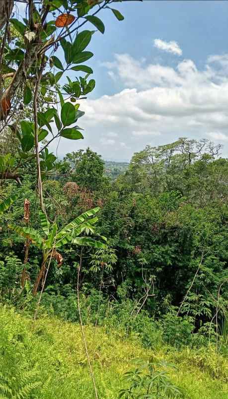 dijual tanah view super istimewa di penebel tabanan