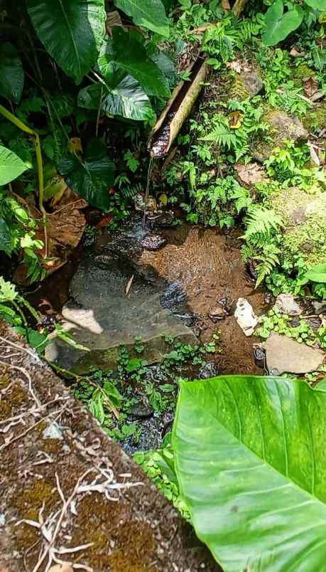 dijual tanah view super istimewa di penebel tabanan