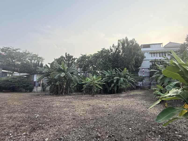 dijual tanah wolter monginsidi
