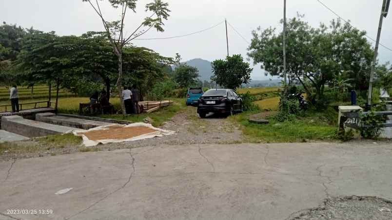 dijual tanaj 3 ha buat kaplingan