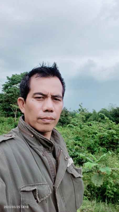 dijual tanaj 3 ha buat kaplingan