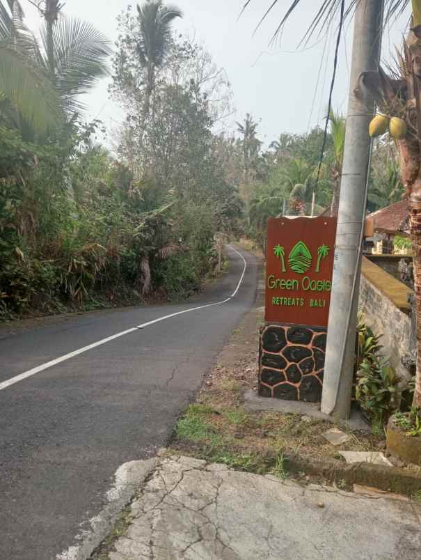 dijual villa eksklusif view sawah yang asri