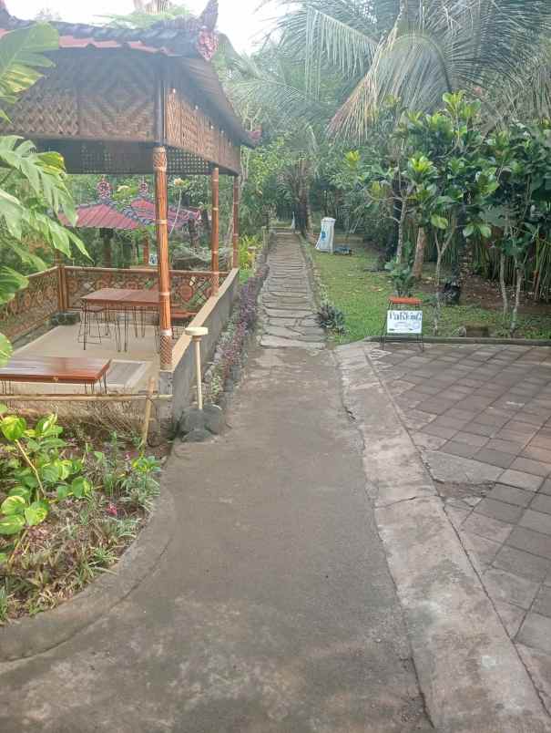dijual villa eksklusif view sawah yang asri
