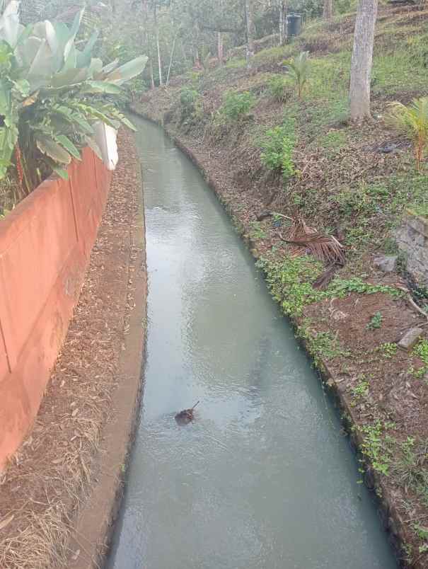 dijual villa eksklusif view sawah yang asri