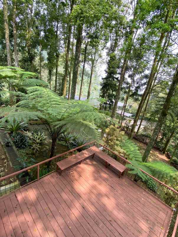 dijual villa jl mega mendung puncak