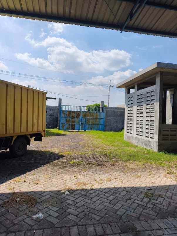 disewakan ruko gudang kantor jalan raya canggu