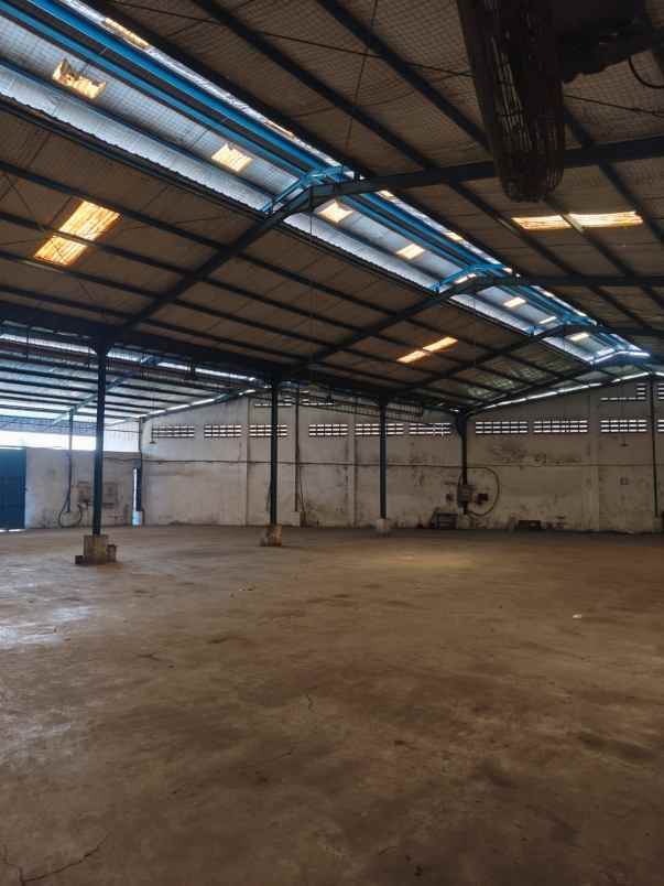 disewakan ruko gudang kantor jalan raya canggu