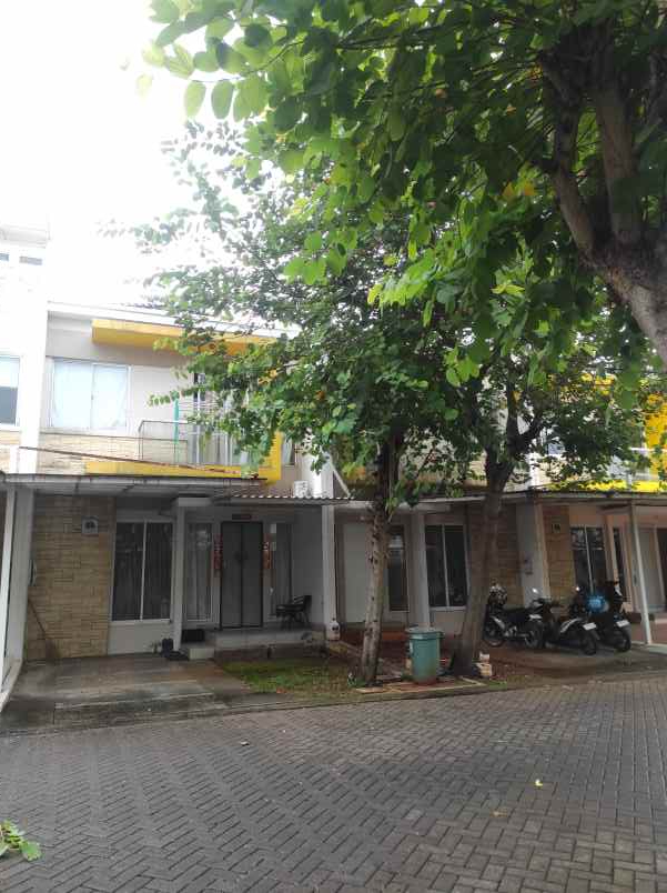 disewakan rumah rumah cluster australia