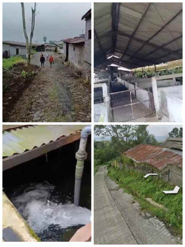 eks kandang babi 4 ha dijateng harga 500rb m2