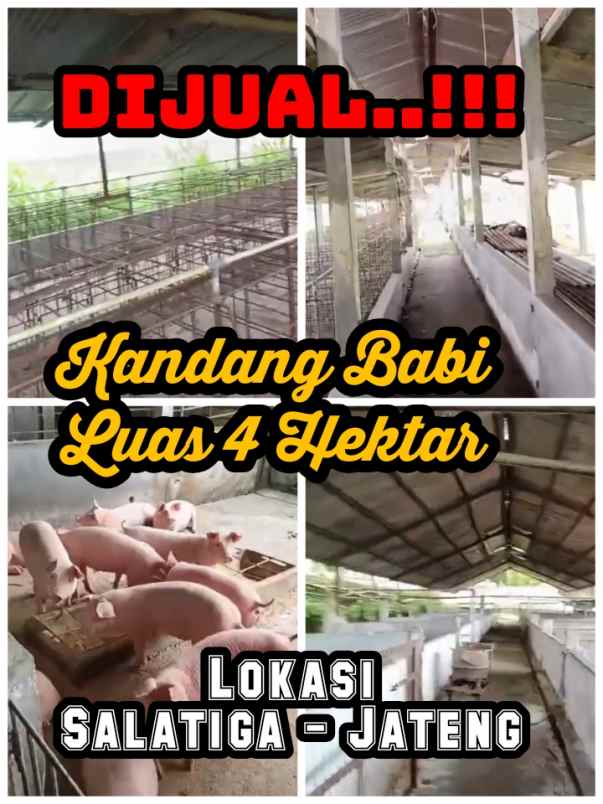 eks kandang babi 4 ha dijateng harga 500rb m2