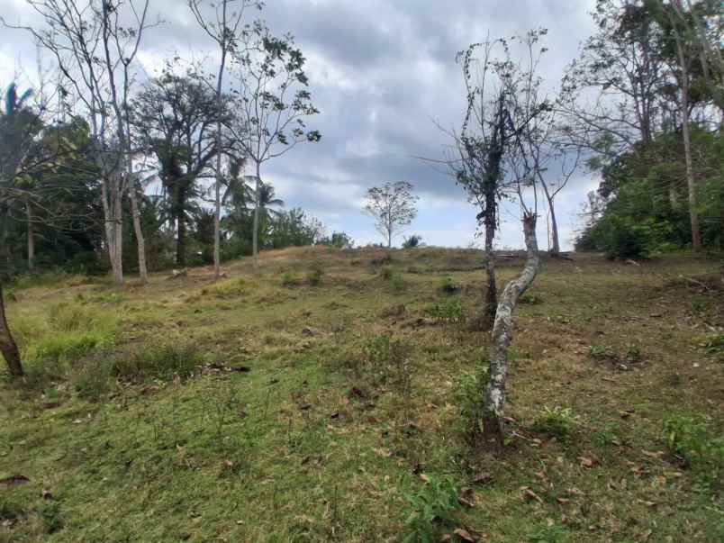 jual tanah kebun murah dekat pantai soka tabanan