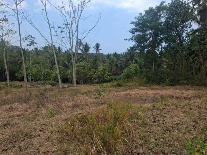 jual tanah kebun murah dekat pantai soka tabanan