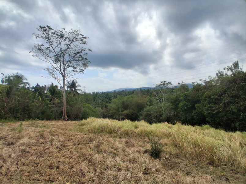 jual tanah kebun murah dekat pantai soka tabanan
