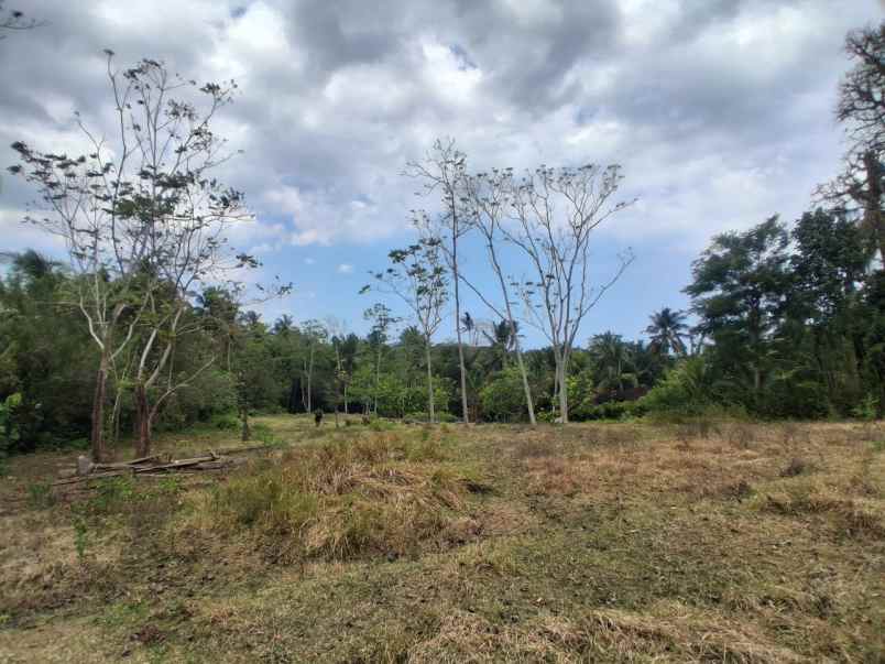 jual tanah kebun murah dekat pantai soka tabanan