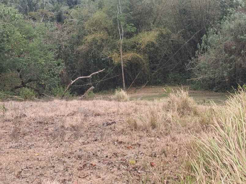 jual tanah kebun murah dekat pantai soka tabanan