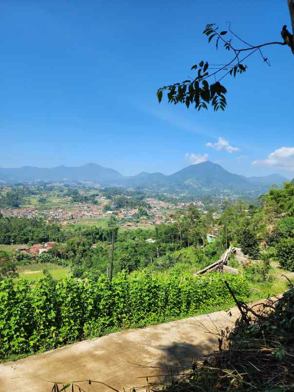 jual tanah murah ciwidey bandung view cantik