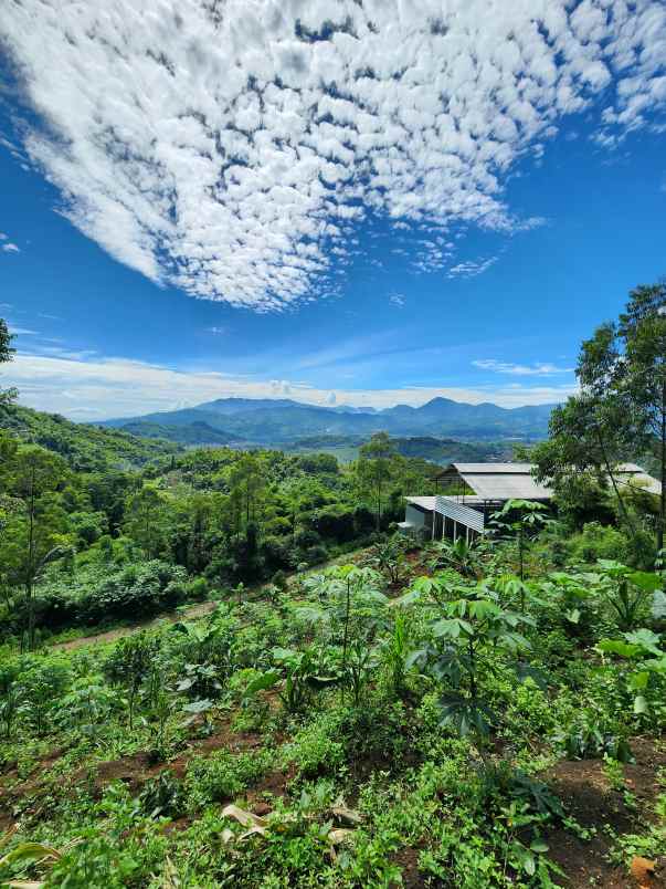 jual tanah murah ciwidey bandung view cantik