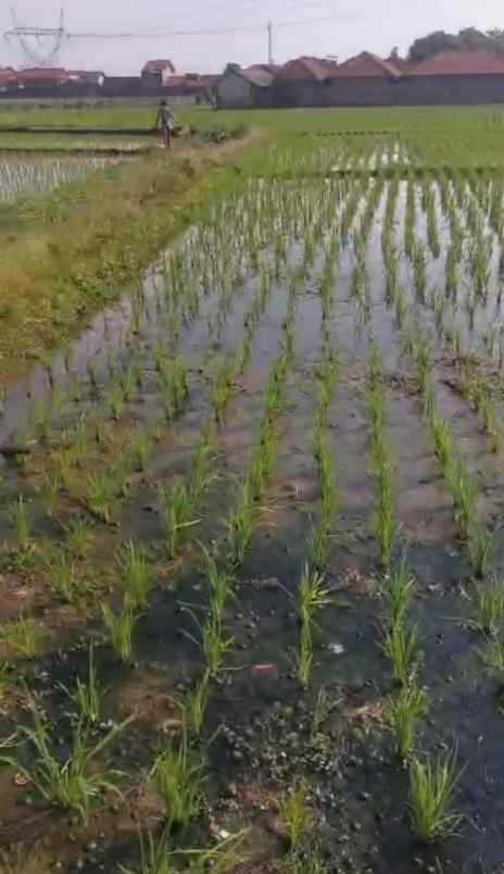 jual tanah rancaekek pinggir jalan raya