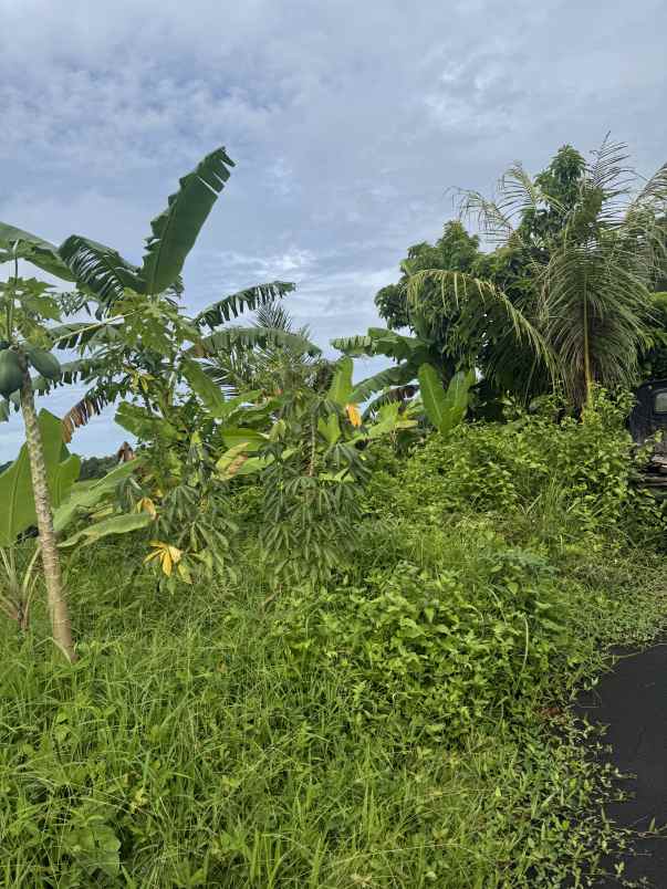 jual tanah view sawah