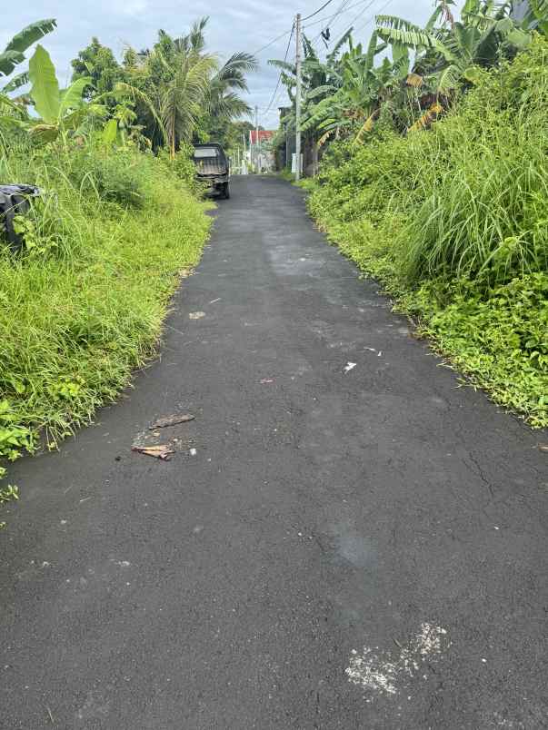 jual tanah view sawah