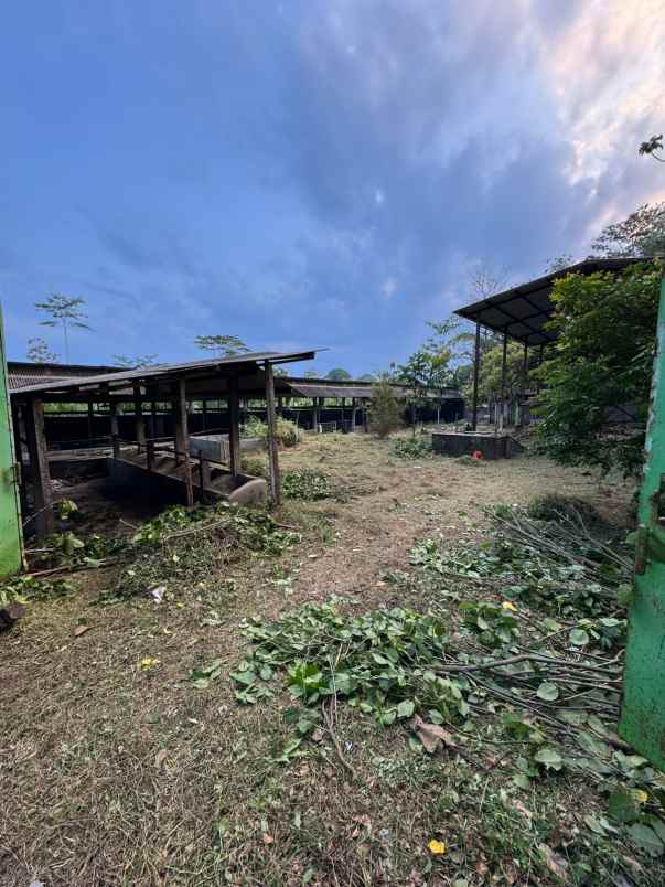 kandangsapi kapasitas 40 ekor boyolali kota 1 1m nego