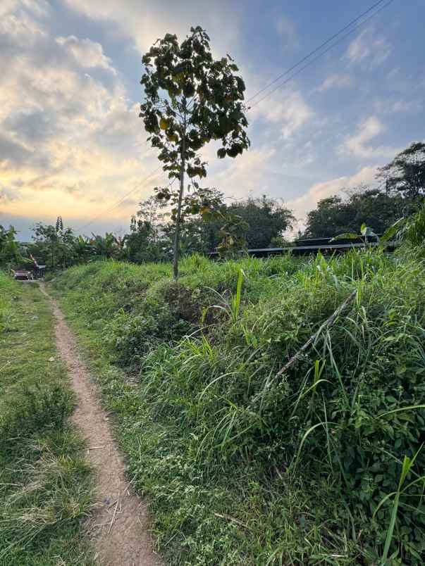 kandangsapi kapasitas 40 ekor boyolali kota 1 1m nego