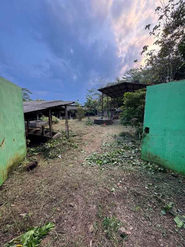 kandangsapi kapasitas 40 ekor boyolali kota 1 1m nego