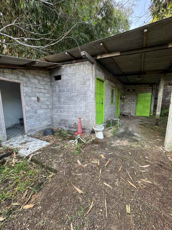 kandangsapi kapasitas 40 ekor boyolali kota 1 1m nego