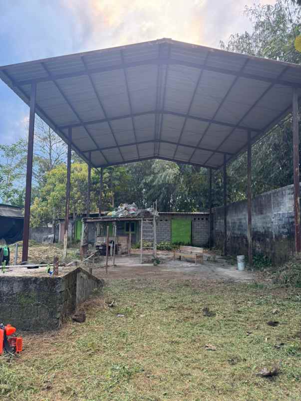 kandangsapi kapasitas 40 ekor boyolali kota 1 1m nego