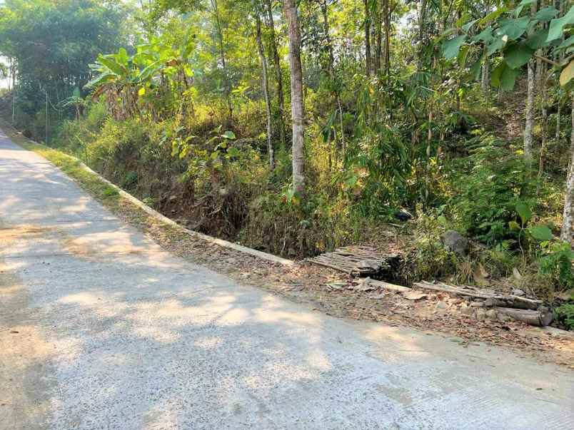 kebun jati murah utara kantor kecamatan kerjo