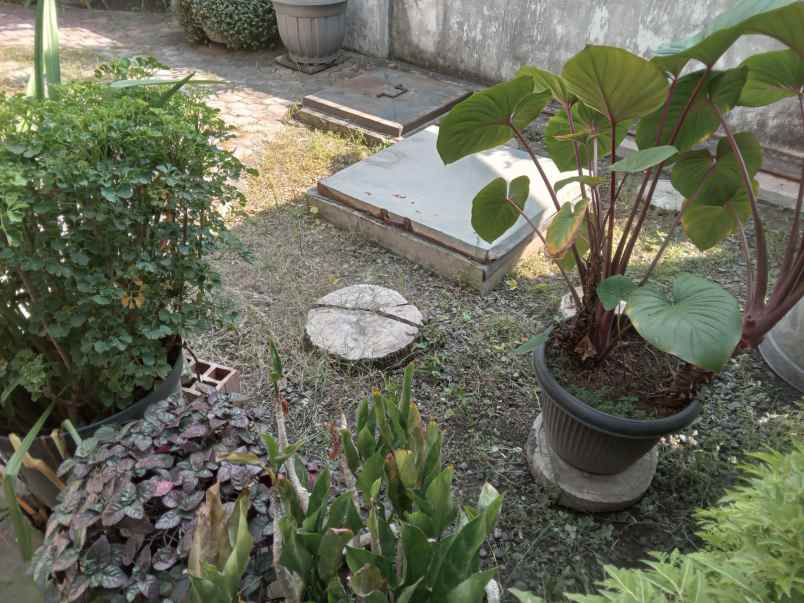 murah harga hitung tanah hanya 7jutaan per meter