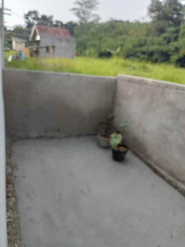 nyesel banget ga beli rumah cuma 90 juta