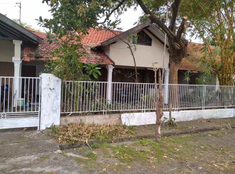 rumah hitung tanah ketintang surabaya selatan