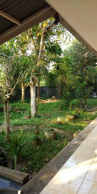 rumah jl cilubang nagrak cifor