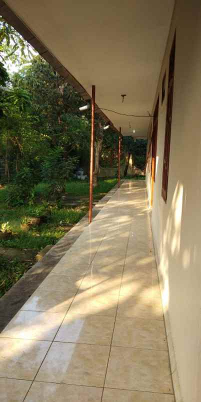 rumah jl cilubang nagrak cifor