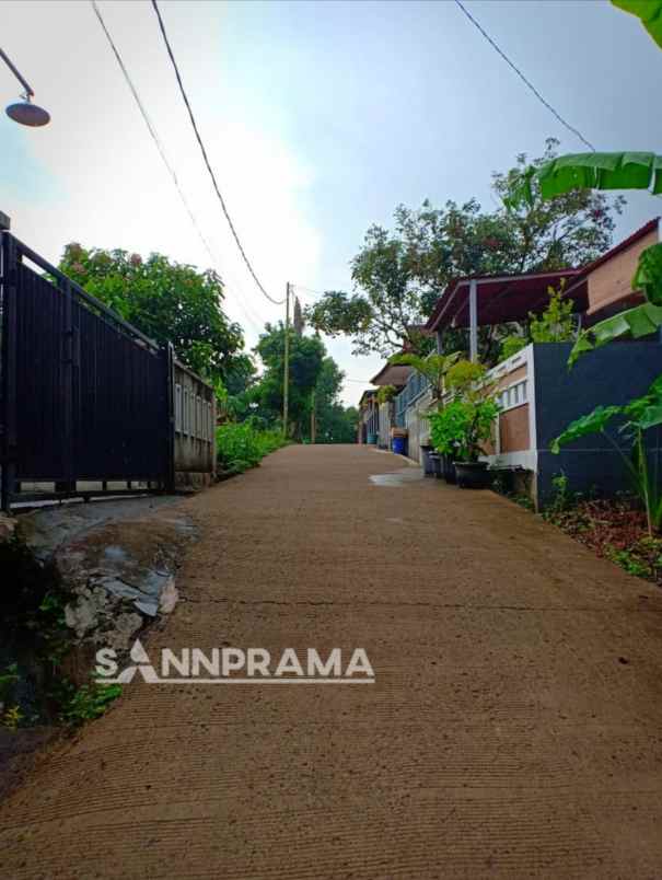rumah klasik dan unik di jalan pinang 2 limo
