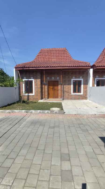 rumah minimalis dengan fasilitas kolam renang pendopo