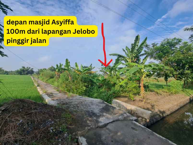 sawah depan jl raya 1994m shm wantilan jelobo klaten