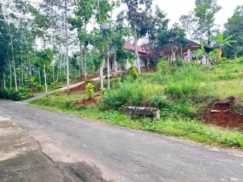 tanah 200 juta barat terminal karangpandan karanganyar